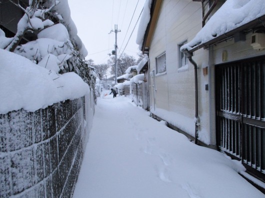 積雪３４センチ マイナス１度 彦根トピックス